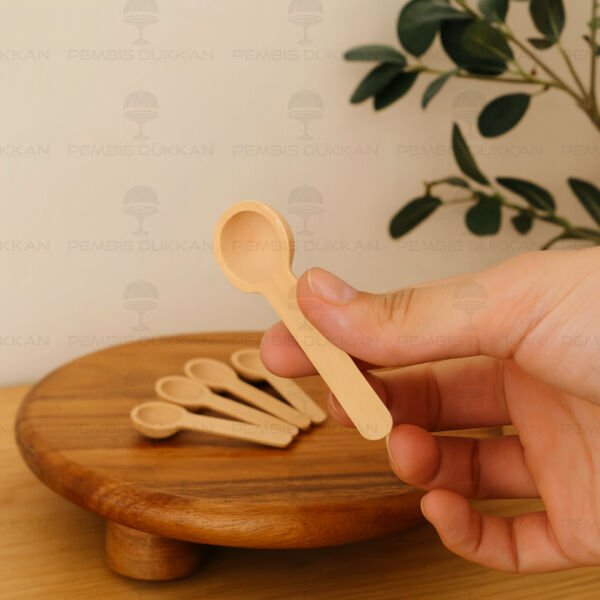 6lı Bambu Küçük Baharat Kaşığı (996)