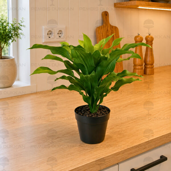 60cm Brazilwood Yapay Çiçek