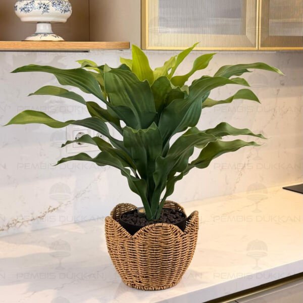 60cm Brazilwood Yapay Çiçek Rattan Kombin 1377