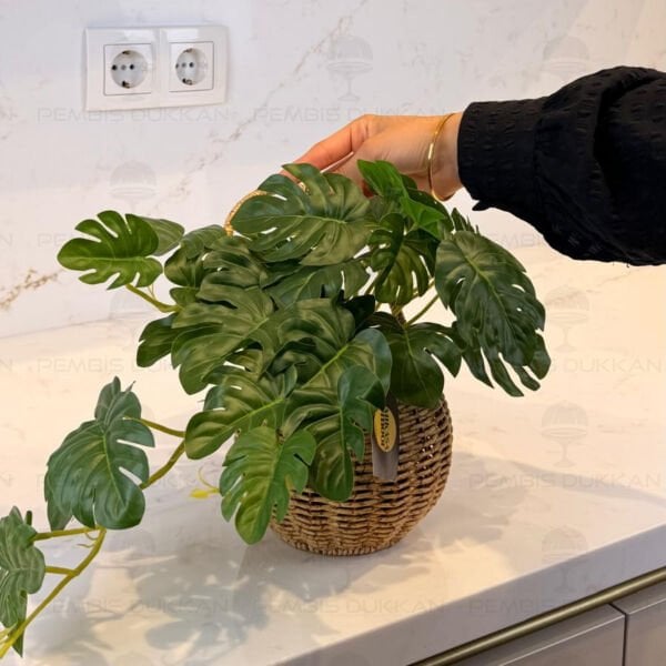 23cm Kalathea Yapay Çiçek Rattan Kombin 1570