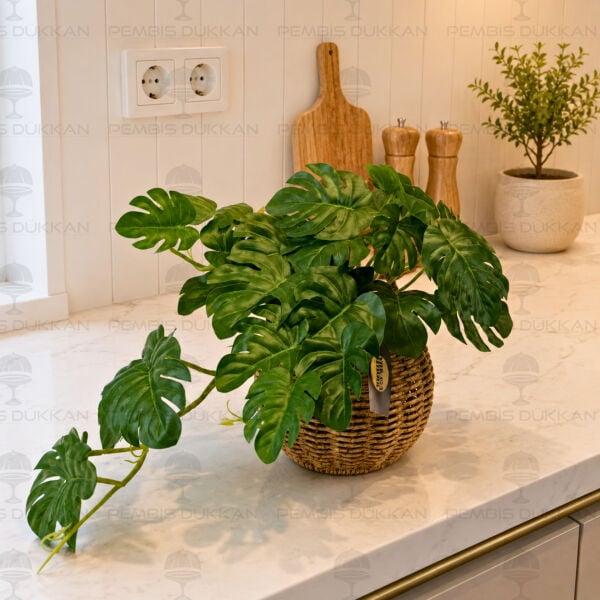 23cm Kalathea Yapay Çiçek Rattan Kombin 1570